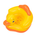 ST782 Yellow duck