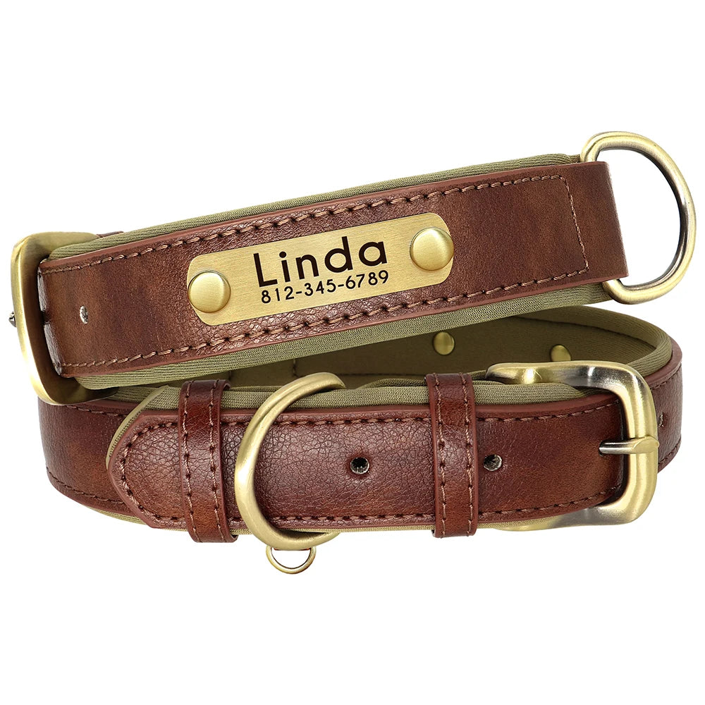 Padded Leather Collar