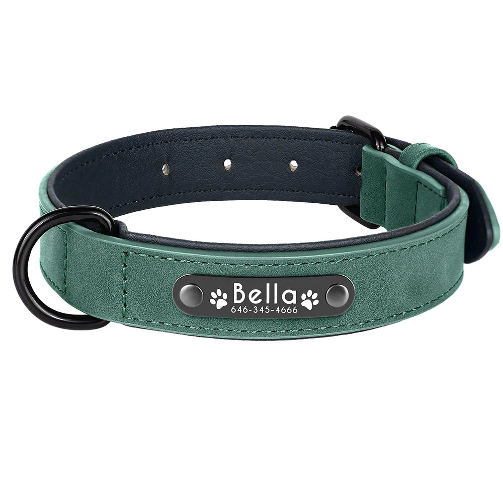 Personalized Custom Name ID Leather Dog Collar