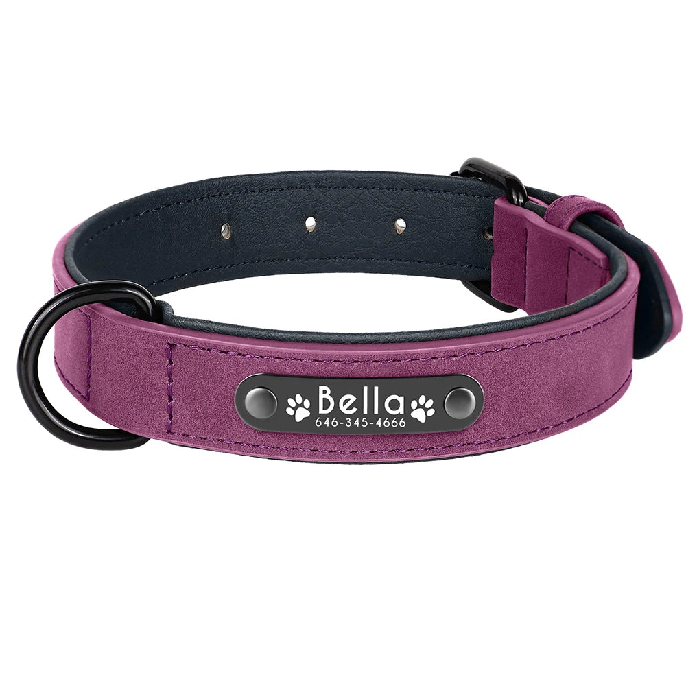 Personalized Custom Name ID Leather Dog Collar