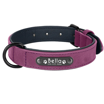 Personalized Custom Name ID Leather Dog Collar