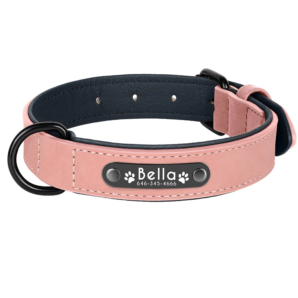 Personalized Custom Name ID Leather Dog Collar
