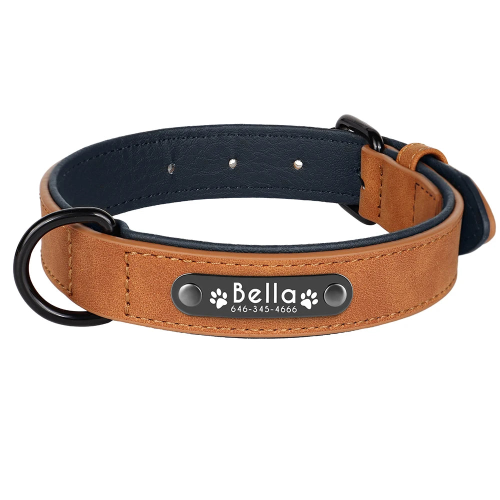 Personalized Custom Name ID Tag Leather Dog Collar
