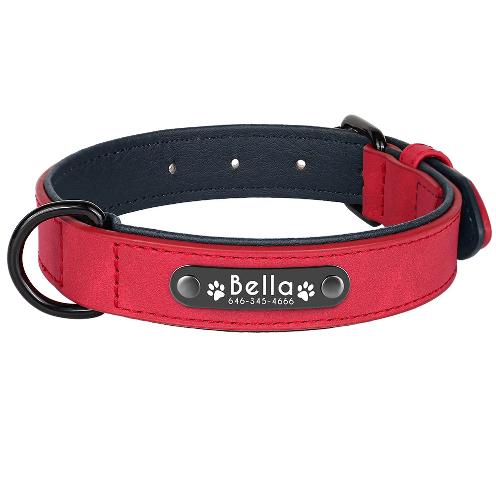 Personalized Custom Name ID Leather Dog Collar