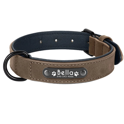 Personalized Custom Name ID Leather Dog Collar
