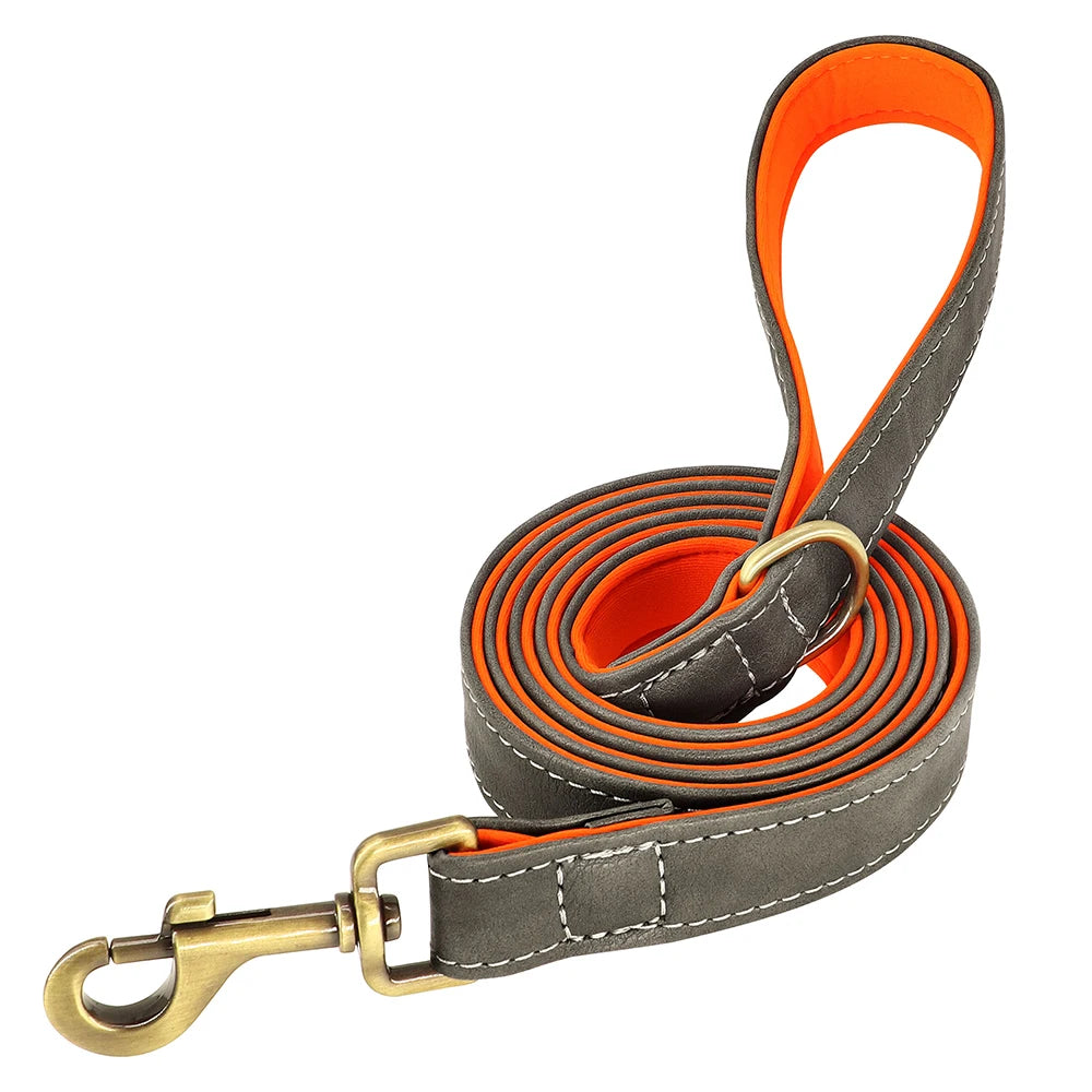 Pet Engraved Padded Leather Collar