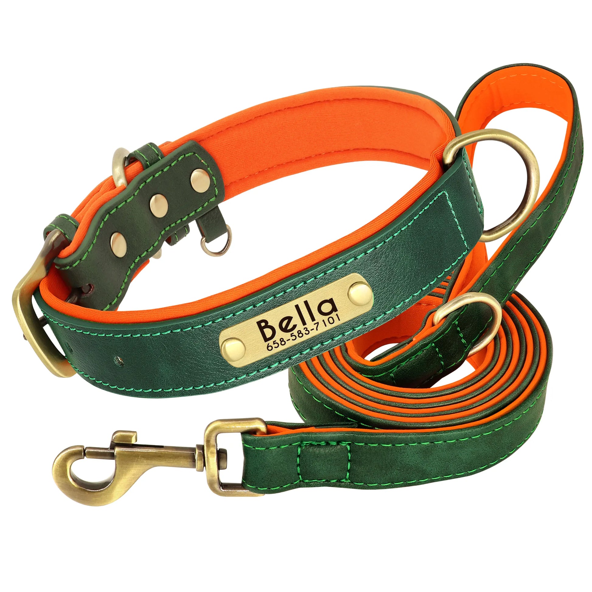 Pet Engraved Padded Leather Collar
