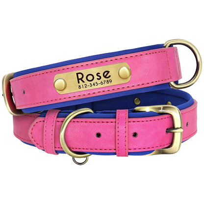Pet Free Engraved Padded Leather Collar