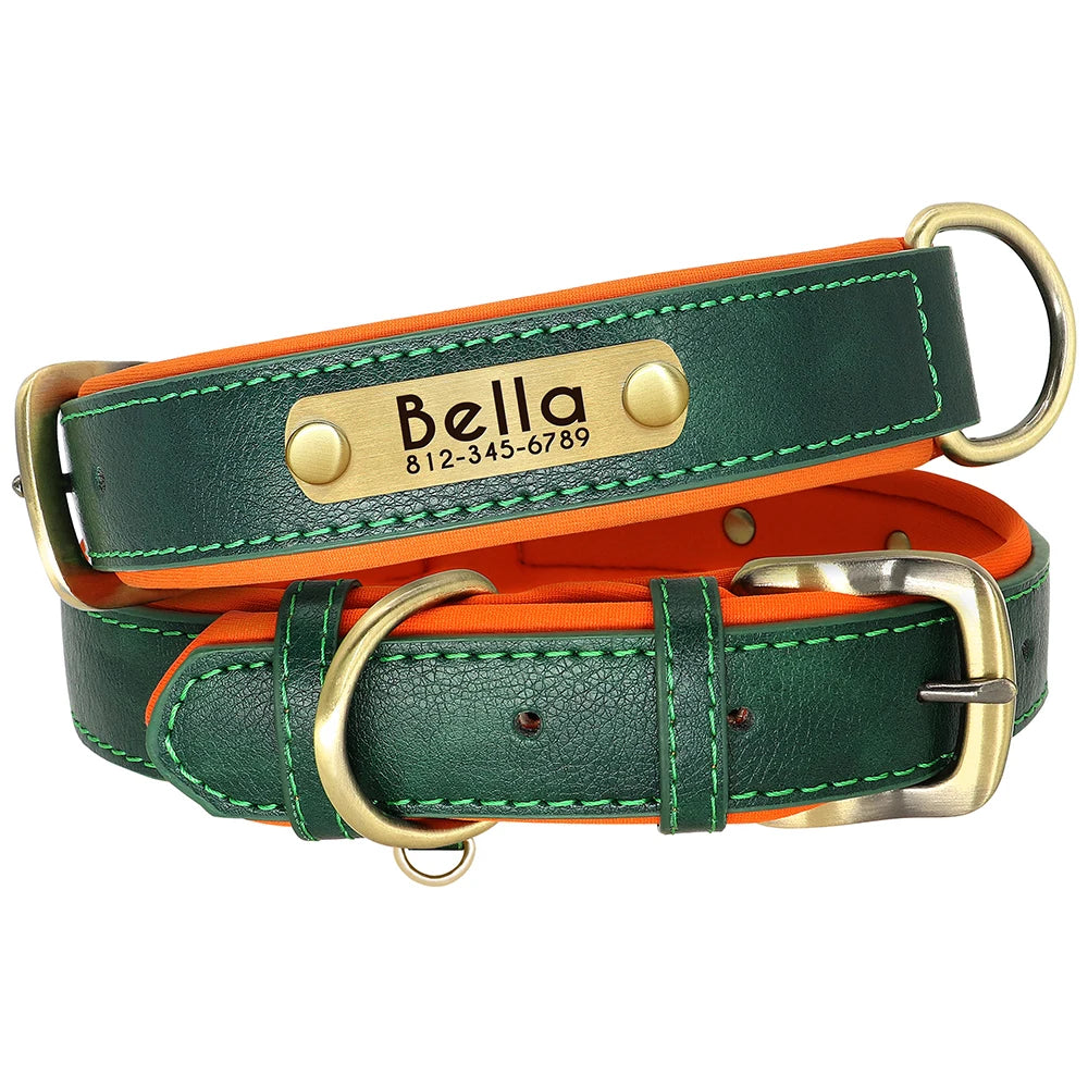 Pet Free Engraved Padded Leather Collar