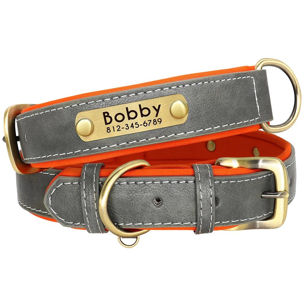 Pet Free Engraved Soft Padded Leather Collar