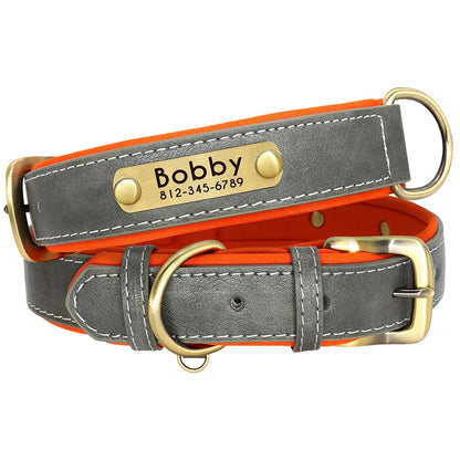 Pet Free Engraved Soft Padded Leather Collar
