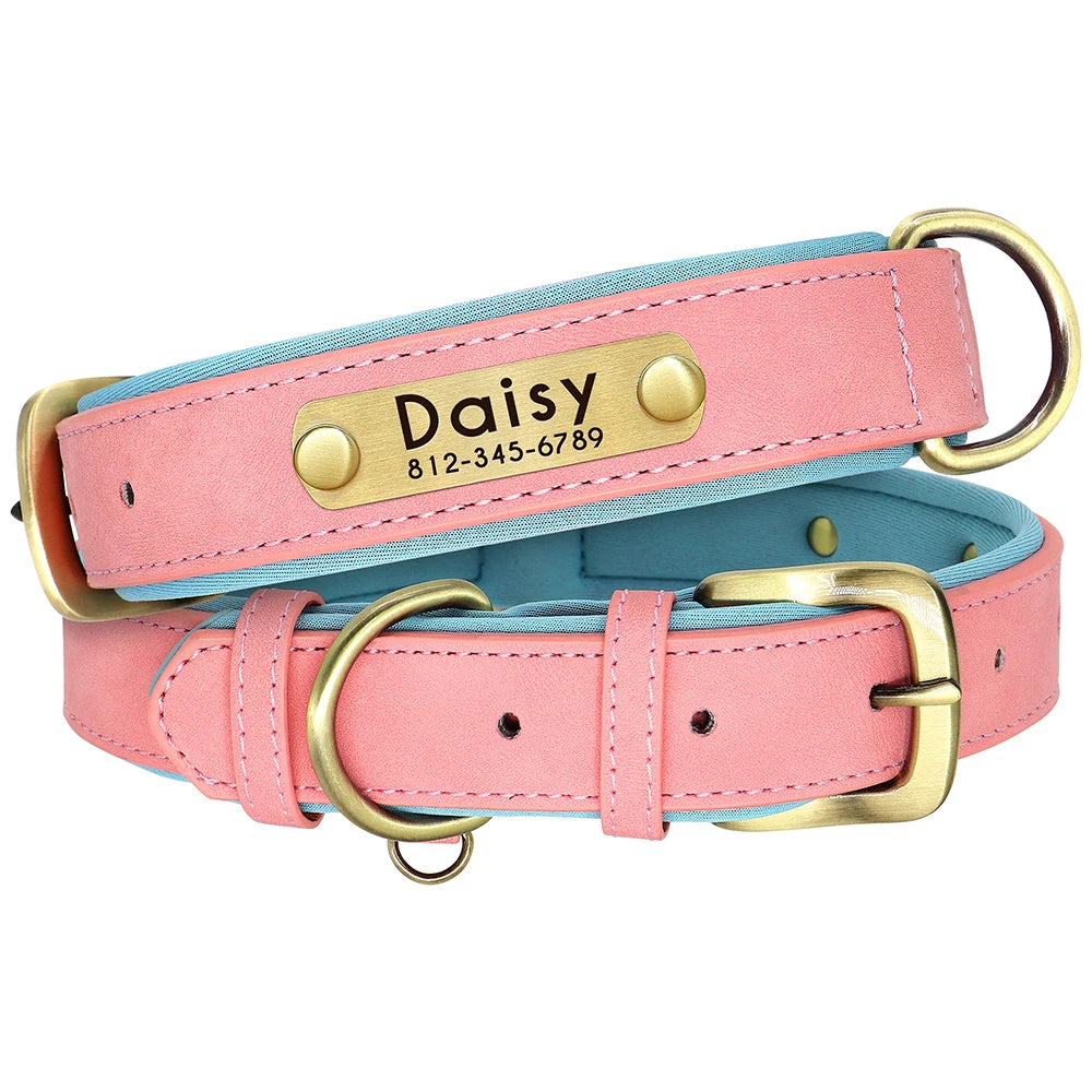 Pet Free Engraved Soft Padded Leather Collar