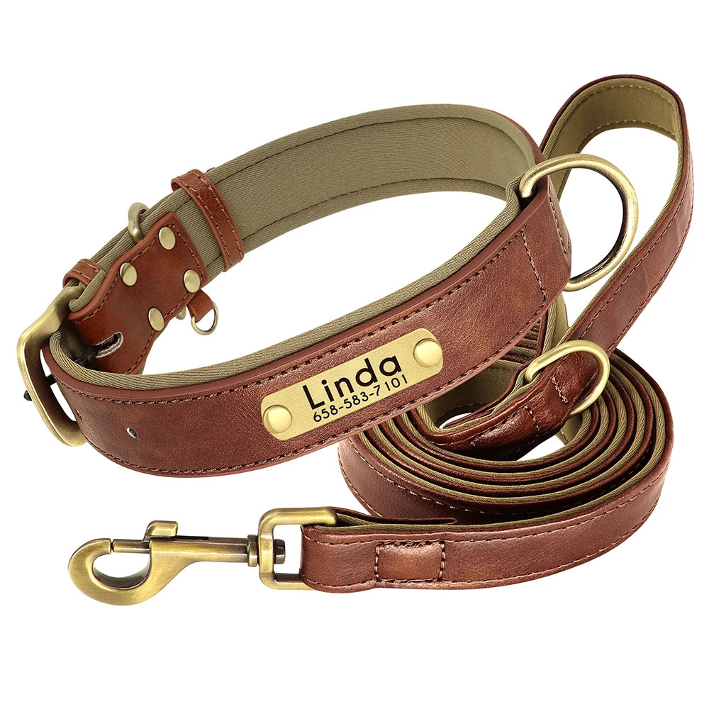 Pet Padded Leather Collar