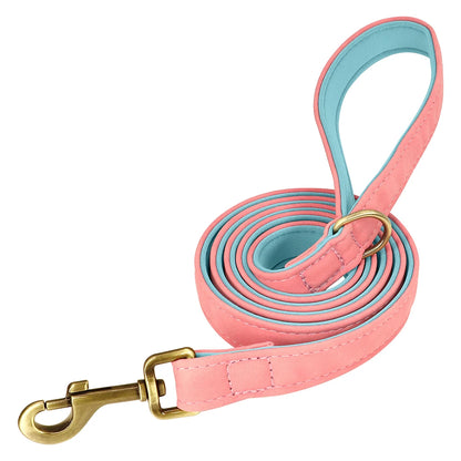 Pet Padded Leather Collar