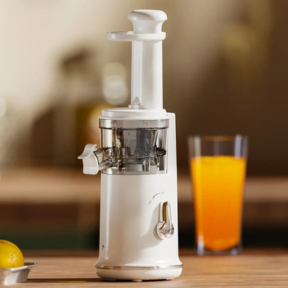 Lightweight Electric Juicer for Mini Fruit Bliss