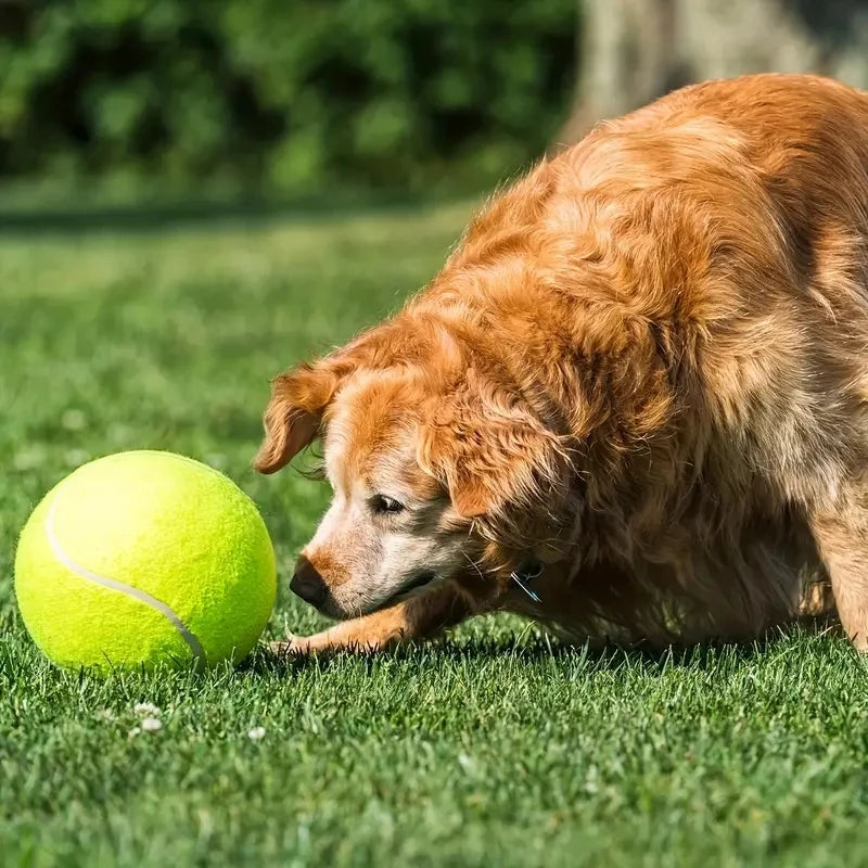 Balle de tennis géante de 9,5 pouces pour chiens