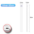 Silver-50cm