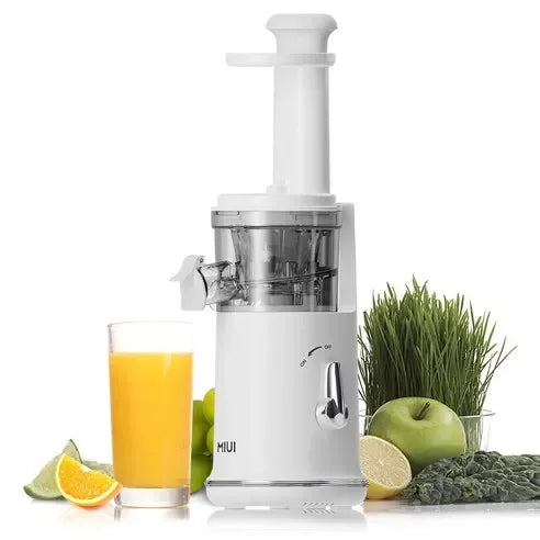 Lightweight Electric Juicer for Mini Fruit Bliss