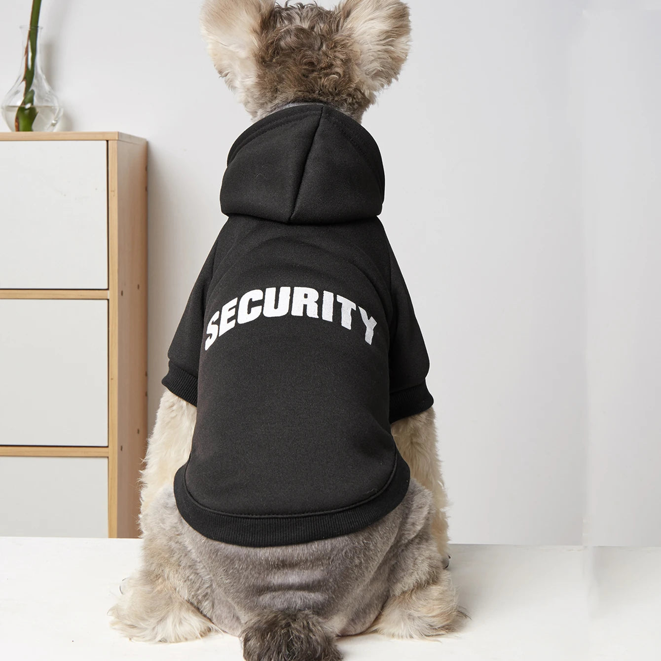 Leichte, flauschige und warme Kapuzenpullover mit Hundemotiven und Buchstabenaufdruck 
