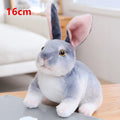 squat gray 16cm