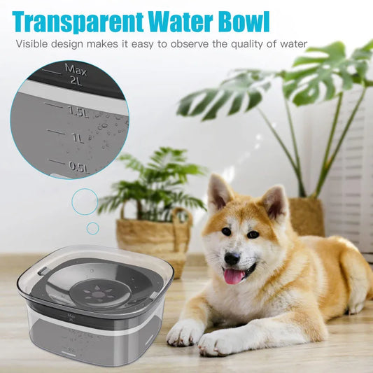 2L Hundewassernapf – Haustierwasserspender