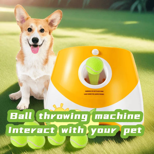 Lanceur automatique de chiens pour jeu interactif