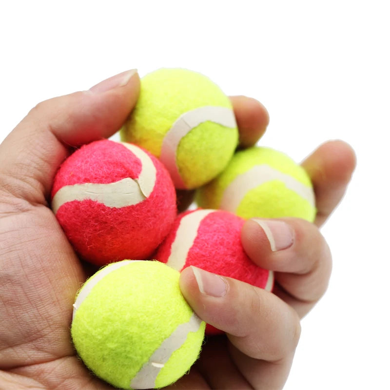 10 petites balles de tennis de 38 mm pour animaux de compagnie