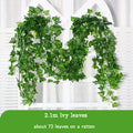 2.1m 72leaves D