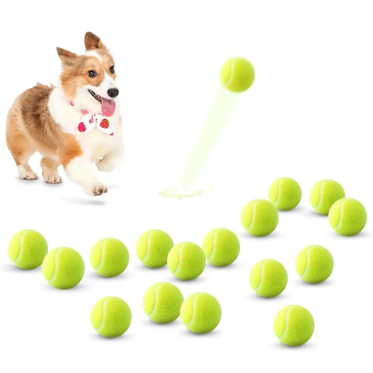 2-Inch Tennis Balls for Dogs (12 Pack)