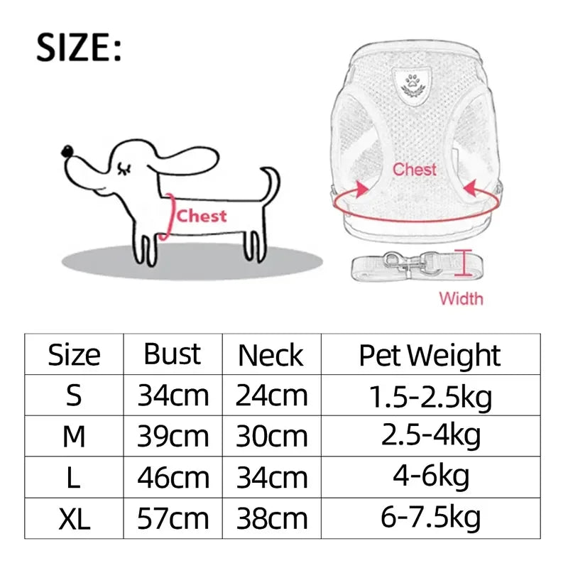 Harnais pour chat, gilet, laisse, collier, polyester - Accessoires réglables pour animaux de compagnie