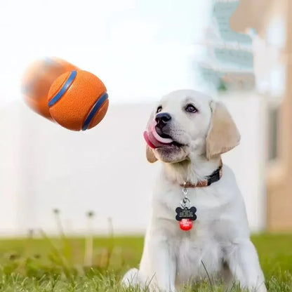 Hundetrainingsübung mit quietschenden Tennisbällen 
