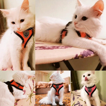 Harnais pour chat, gilet, laisse, collier, polyester - Accessoires réglables pour animaux de compagnie