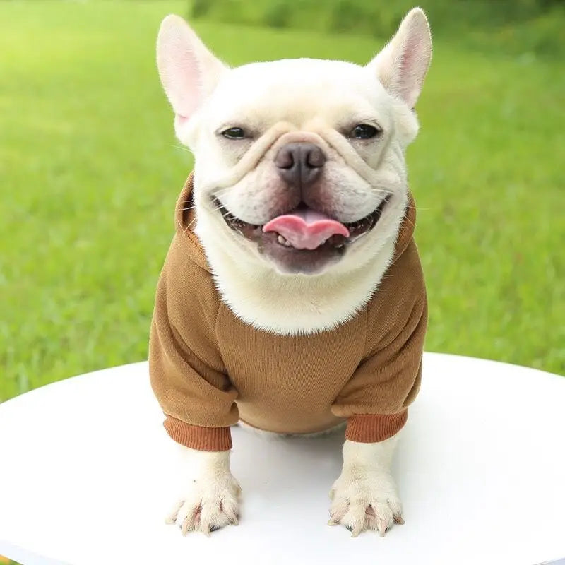Vêtements pour chiens de compagnie - Pull chaud pour chiens avec poches