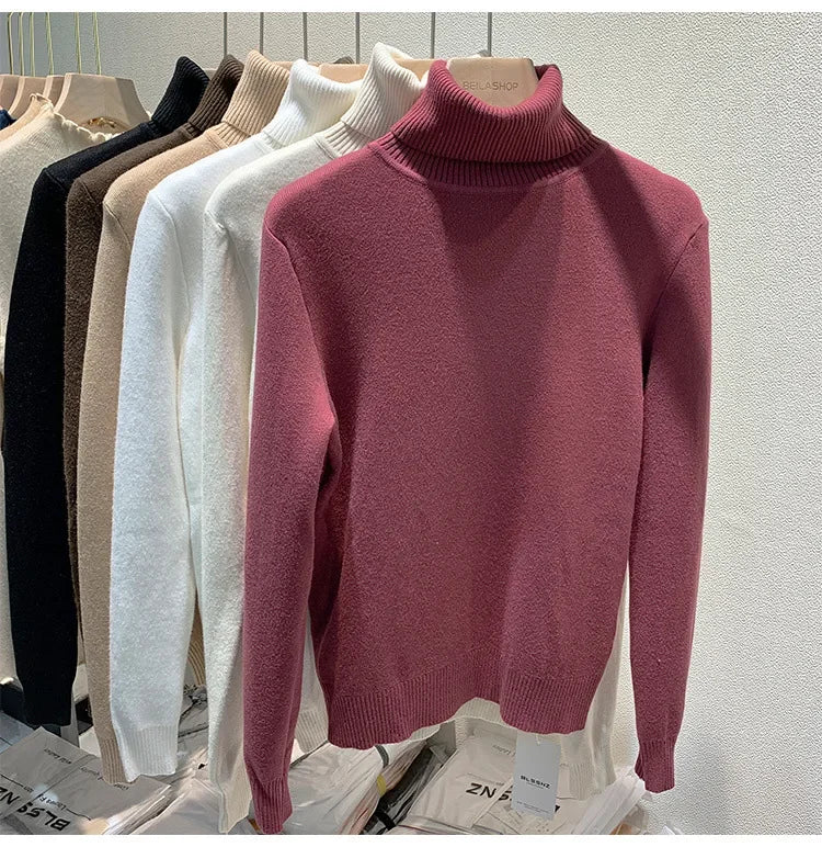 Women's Fleece-Lined Turtle Neck Knited Sweater