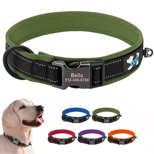 Dog Buckle Collars - Dogs Collar