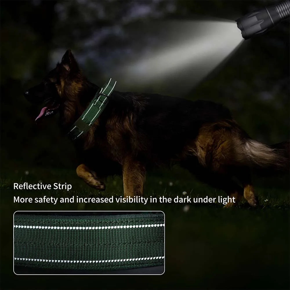 Taktisches Hundehalsband mit doppelter Schnalle – Hundehalsband in Militärqualität mit Griff