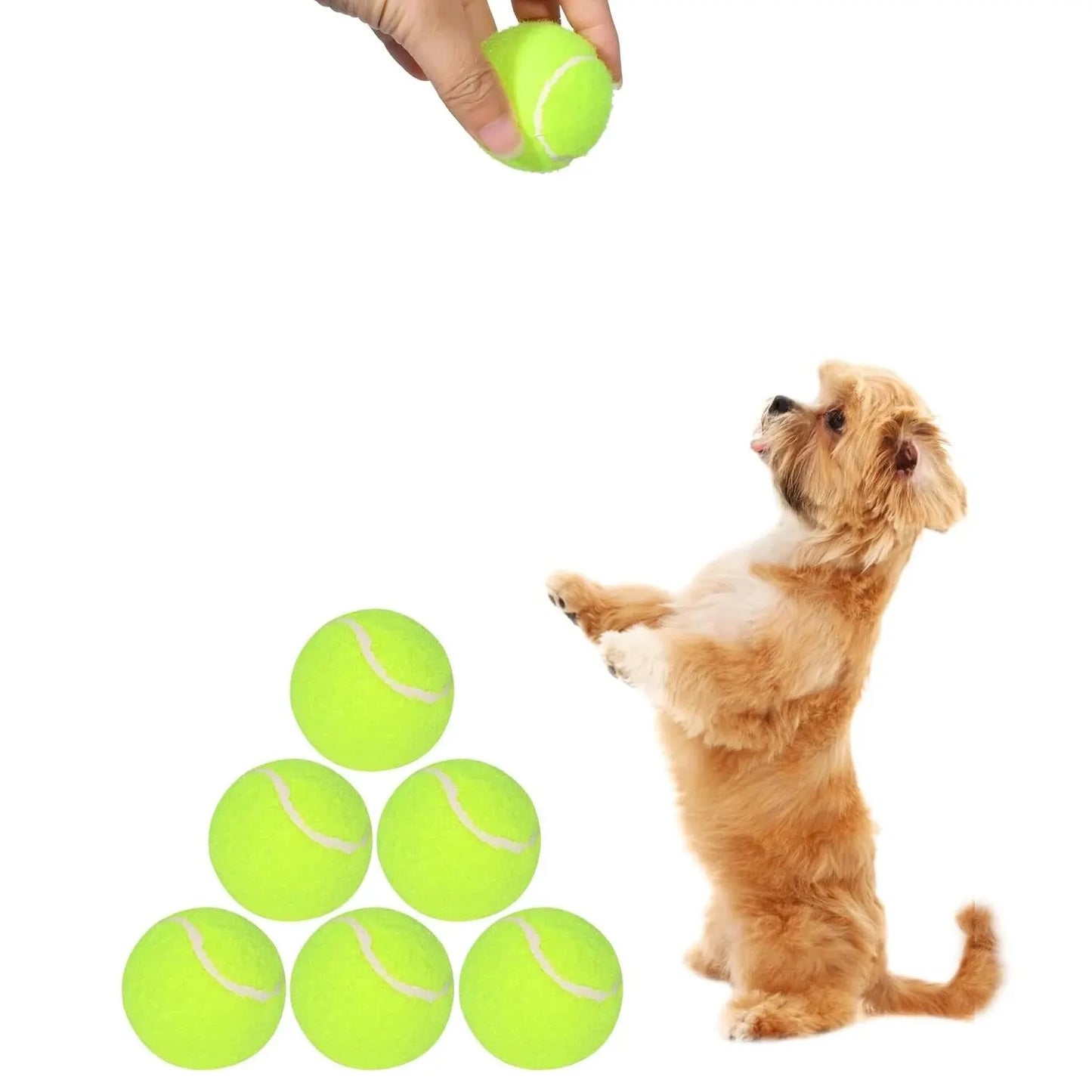 2-Zoll-Tennisbälle für Hunde (12er-Pack)