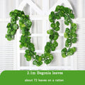 2.1m 72leaves C