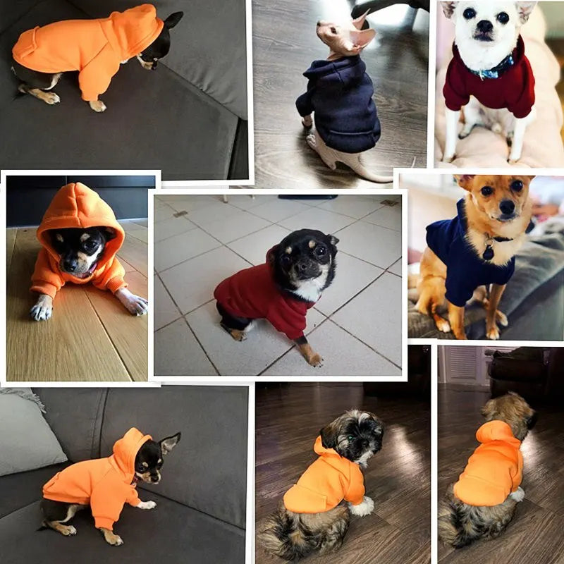 Haustier-Hundekleidung – Hunde-Outfit