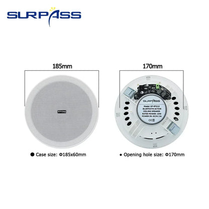 6-Inch 3D Stereo Bluetooth Ceiling Speaker