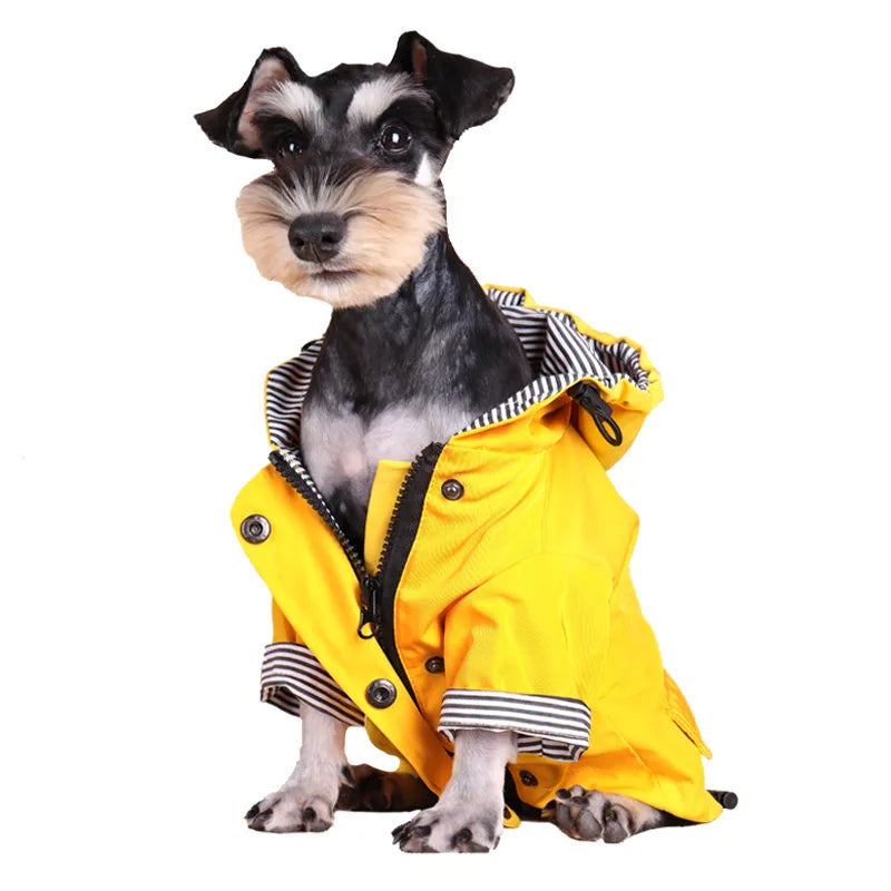 Große Hundekleidung – wasserdichter Hunderegenmantel