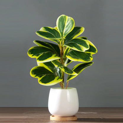 Künstliche Ficus-Pflanzen für künstliche Heimbegrünung