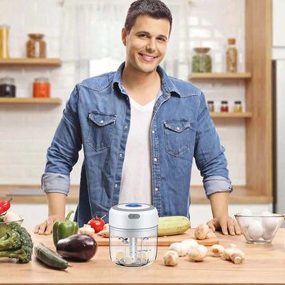 Elektrischer Fleischwolf und Knoblauchzerkleinerer