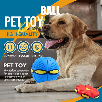 Balle de soucoupe volante magique pour chien de compagnie - Balle de lancer interactive en caoutchouc souple