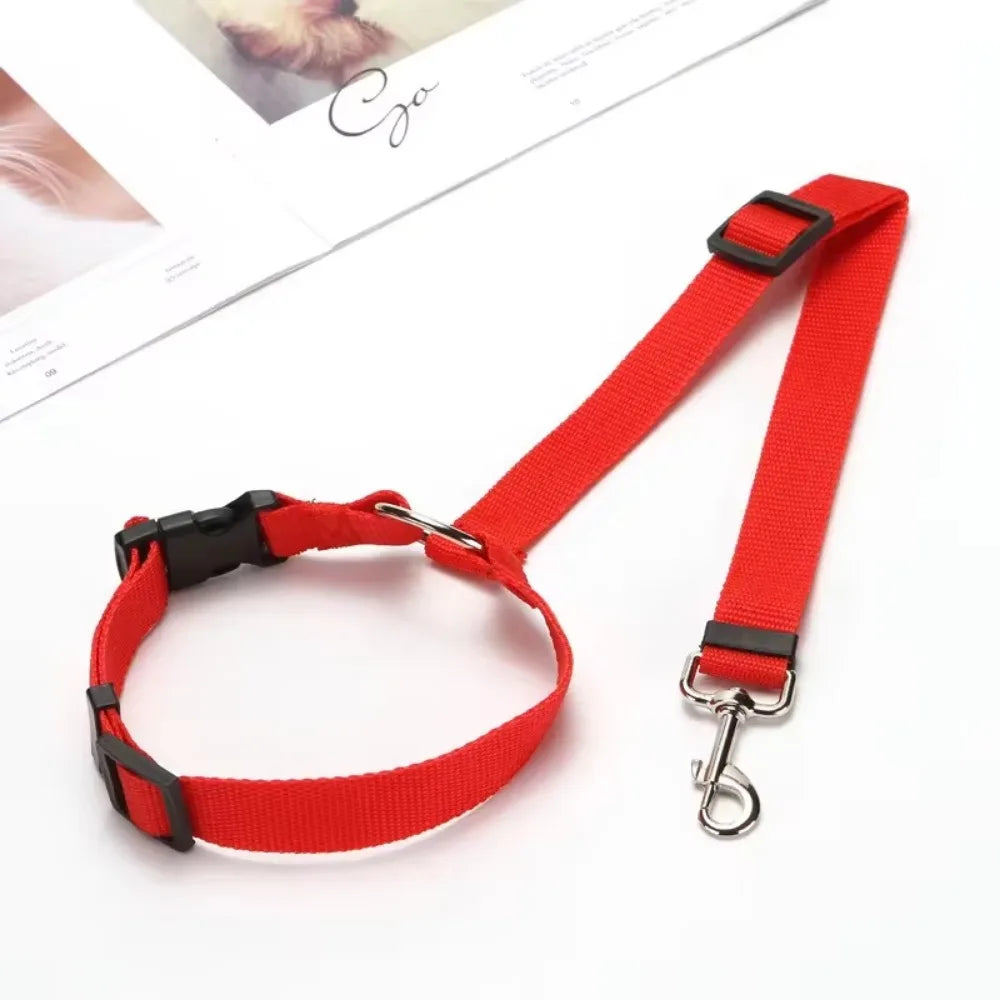 Ceinture de sécurité pour animaux de compagnie deux en un de couleur unie - Laisse en nylon Ceinture de sécurité pour siège arrière Accessoires pour animaux de compagnie 