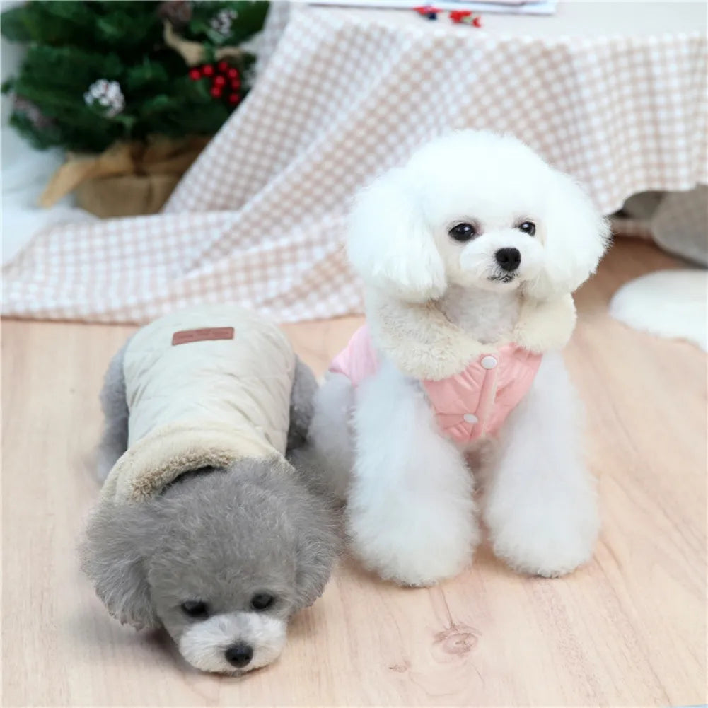 Warme Kleidung für Haustiere – Kleidung für kleine Haustiere