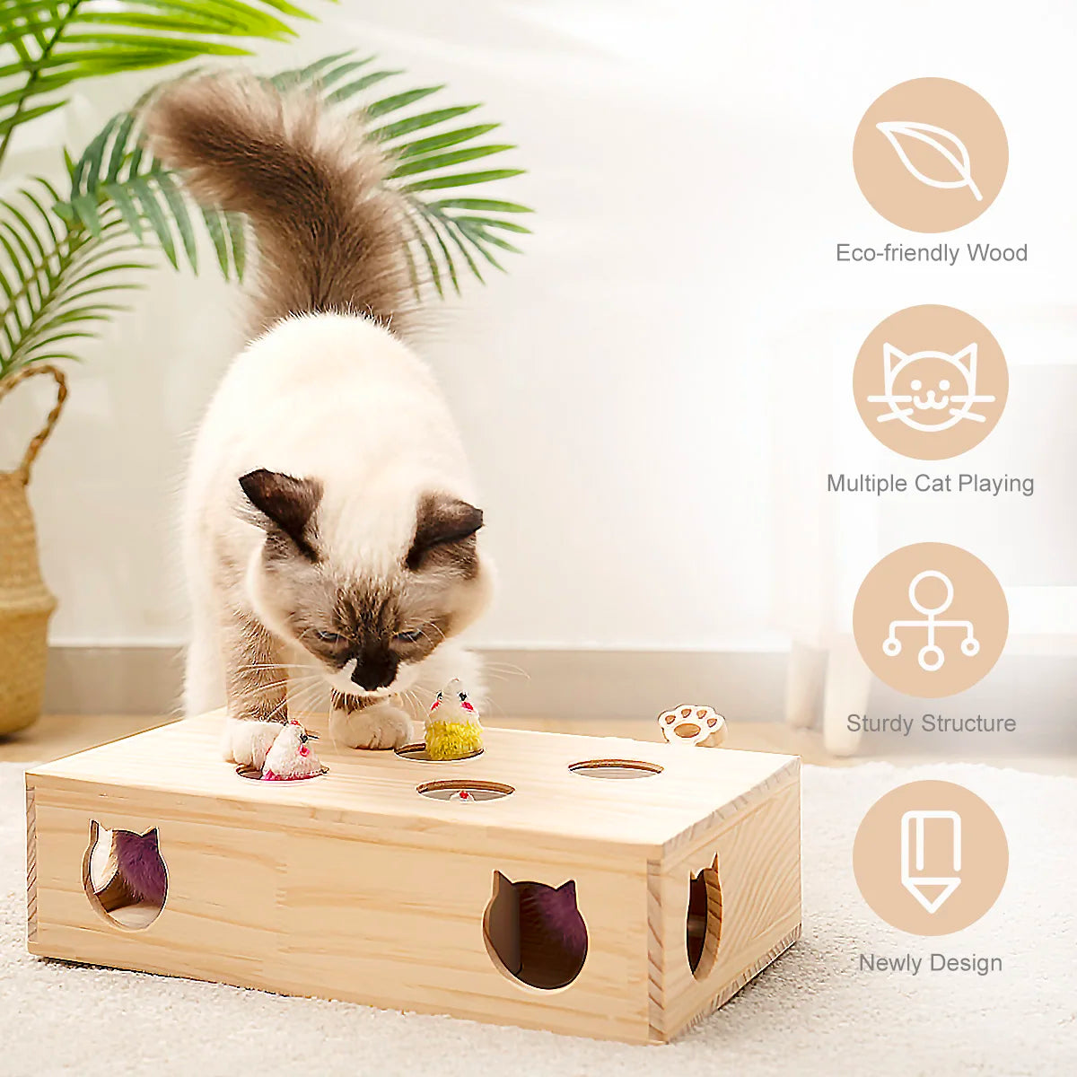 MewooFun Cat Toys - Solid Wood Toys for Indoor Kittens