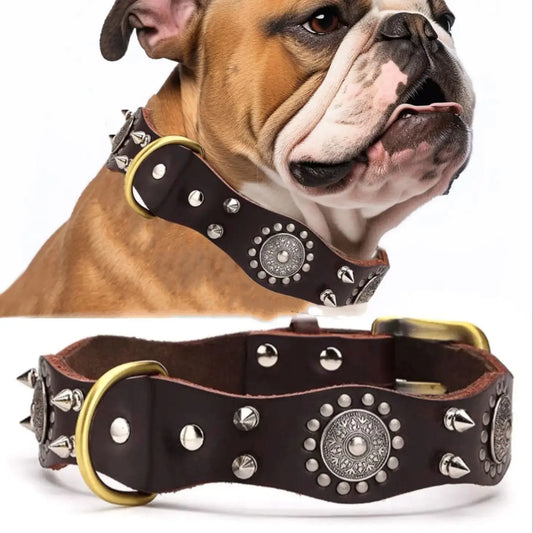 dog collar, leather dog collar, leather collars, training dog collar, dog accessories, pet collar, leather dog leashes, dog necklace, puppy collar, dog leashes