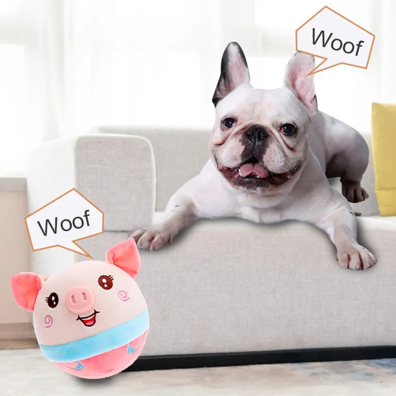 Elektronischer Hundespielzeugball – Hüpfballspielzeug für Haustiere