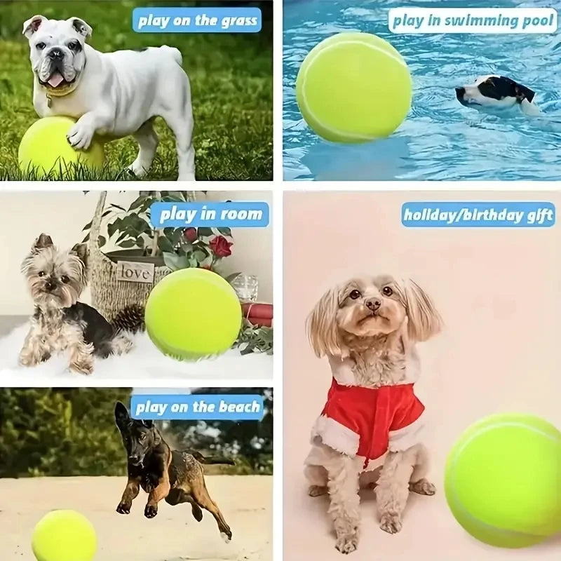 Balle de tennis géante de 9,5 pouces pour chiens